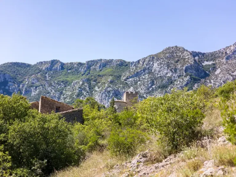 Paysages corbieres fenouilledes oxygen aventure 2