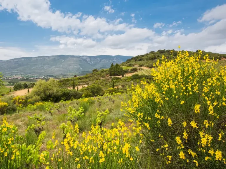 Paysages corbieres fenouilledes oxygen aventure 8