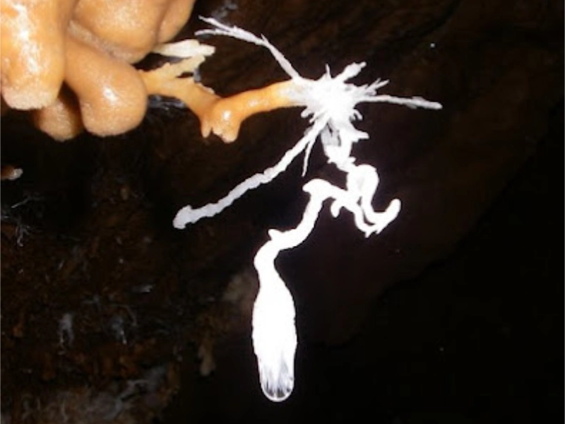 concretion en ariege